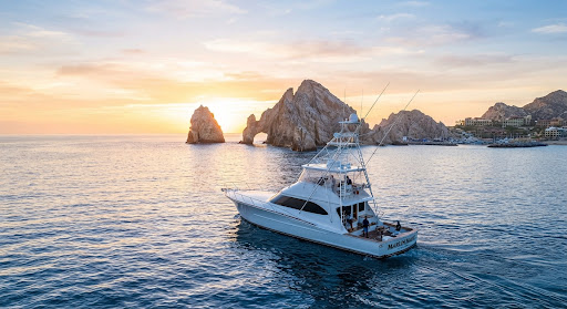 Summer & Ocean Aquatic Adventure